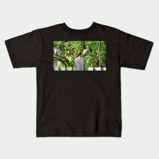 American Robin Standing On Top of a Post Kids T-Shirt